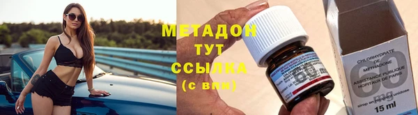 сатива Алзамай