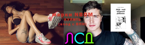 гашик Алексеевка